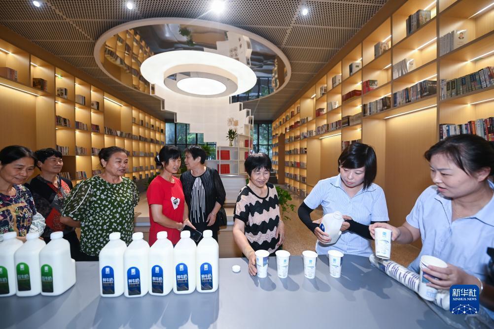金钱豹vip